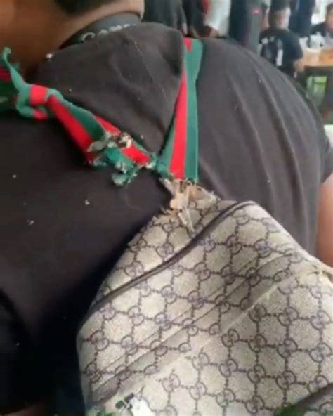 torn gucci bag meme